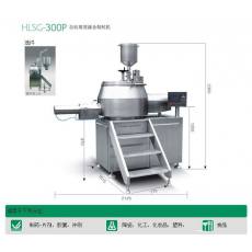 HLSG-300P自動(dòng)高效濕法制粒機(jī)（混合）