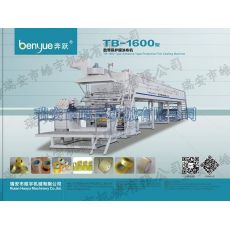 TB-1600mm封箱膠帶&PE保護(hù)膜涂布機(jī)