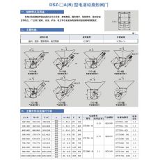 DSZ- □ A （ B ）型 電液動(dòng)扇形閘門(mén)