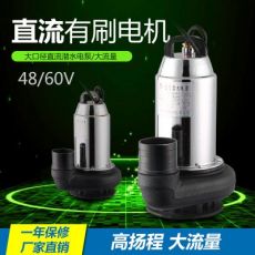 48V60V有刷直流潛水泵戶外農(nóng)業(yè)灌溉電動車抽水泵